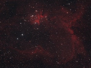 The Heart Nebula, by Tom Sharman