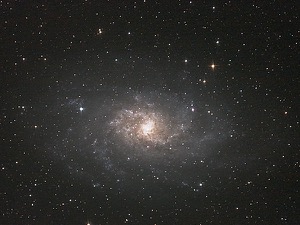 M33, by Tom Sharman