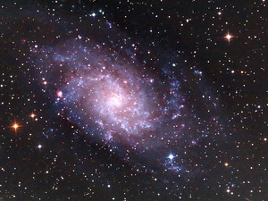 The M33 Triangulum galaxy, by David Murton