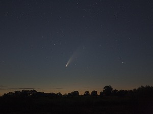 Comet Neowise, by Tom Sharman