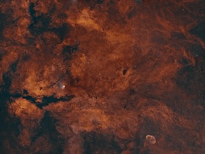 The star, Sadr, and The Crescent Nebula (bottom right) enveloped in a molecular gas cloud, by Stephen Recaldin