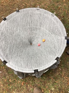 Telescope Display