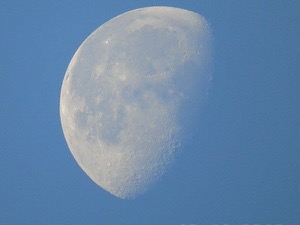 Morning Moon, by Joan Gribbin Brame