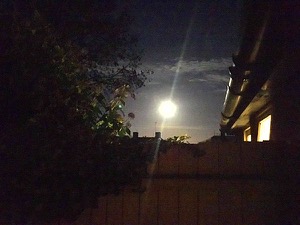 The 'Super Moon', by Mark Proctor